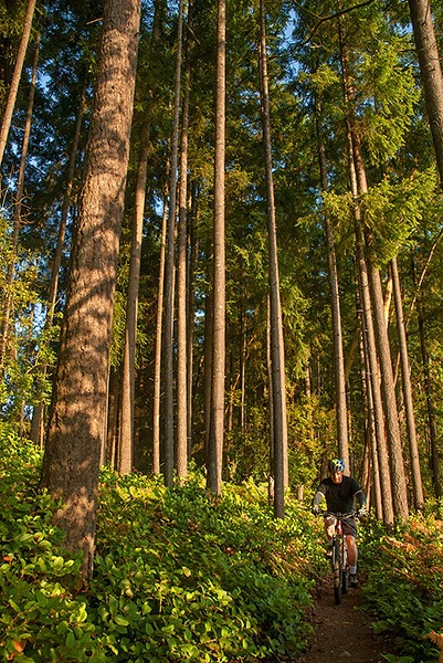 Easy access to nature at Clear Creek Trail Photo Gallery Kitsap Daily News