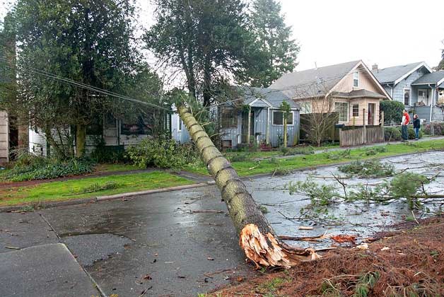 A large tree branch lays across power lines near a home on Gregory Way in Bremerton March 1