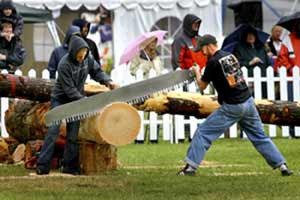 The stock saw competition is one of 16 events held at Old Mill Days this year. Among the returning competitions a new competition