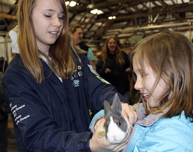 Autumn and Summer Richardson prepare to ready one of their rabbits for showing. The sisters took part in the West Puget Sound Rabbit Club show on Saturday.