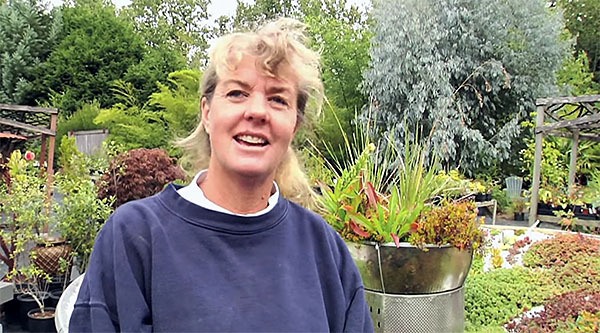 Heidi Kaster of Dragonfly Farms Nursery has turned to crowdfunding in order to fund the expansion of Dragonfly as an events center.
