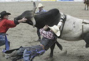Bull fighters rush to the aid of Clint Craig