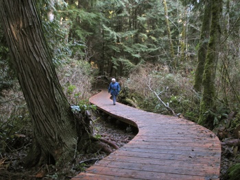 A section of the Forest to Sky Trail