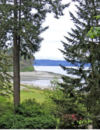 The view of Puget Sound from Camp Indianola looks out over the forest and tideflats