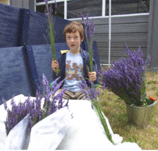 Noah Pouska sold lavender bouquets at the third annual Indianola Garden Tour