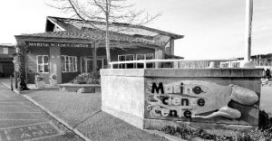 Poulsbo Union High School opened in approximately 1930.  This photo shows the line of old school buses standing ready in front of the building.  This building today is the Poulsbo Parks and Rec building on north Front St.