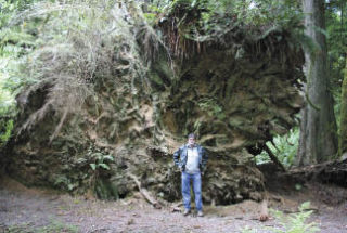 Community forester Jim Trainer points out one of the coolest sites along the Ty-Jo trail. “It’s the mother of all root wads