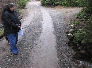 Seabeck resident Louise Lewis examines a partial washout on a road near her home. Lewis and her husband maintain the road themselves.