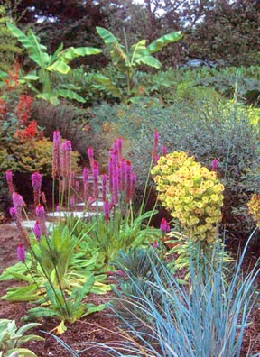 The Mesogeo Greenhouse is shown here in full bloom.