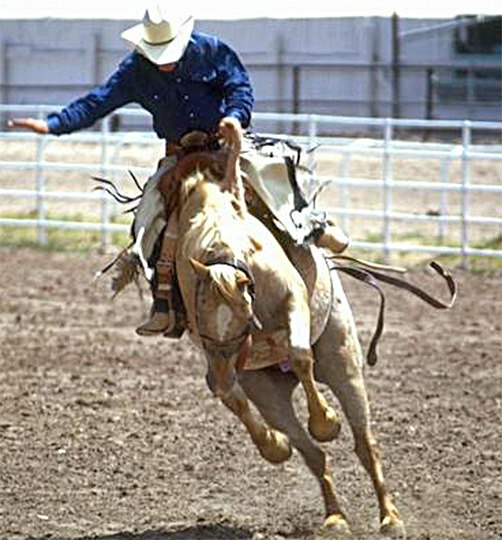 Kitsap County Fair and Stampede runs Aug. 24-28.