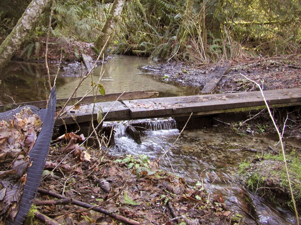 The Kitsap County Heath Department is investigating high fecal coliform levels that have put Karcher Creek on its watch list for 2011.