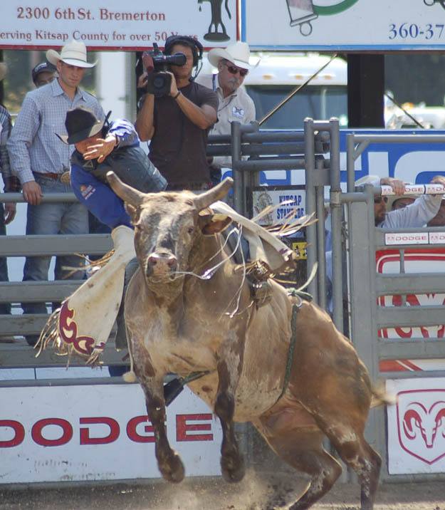 A bull rider holds on tight during a ride in the 2009 Xtreme Bulls competition