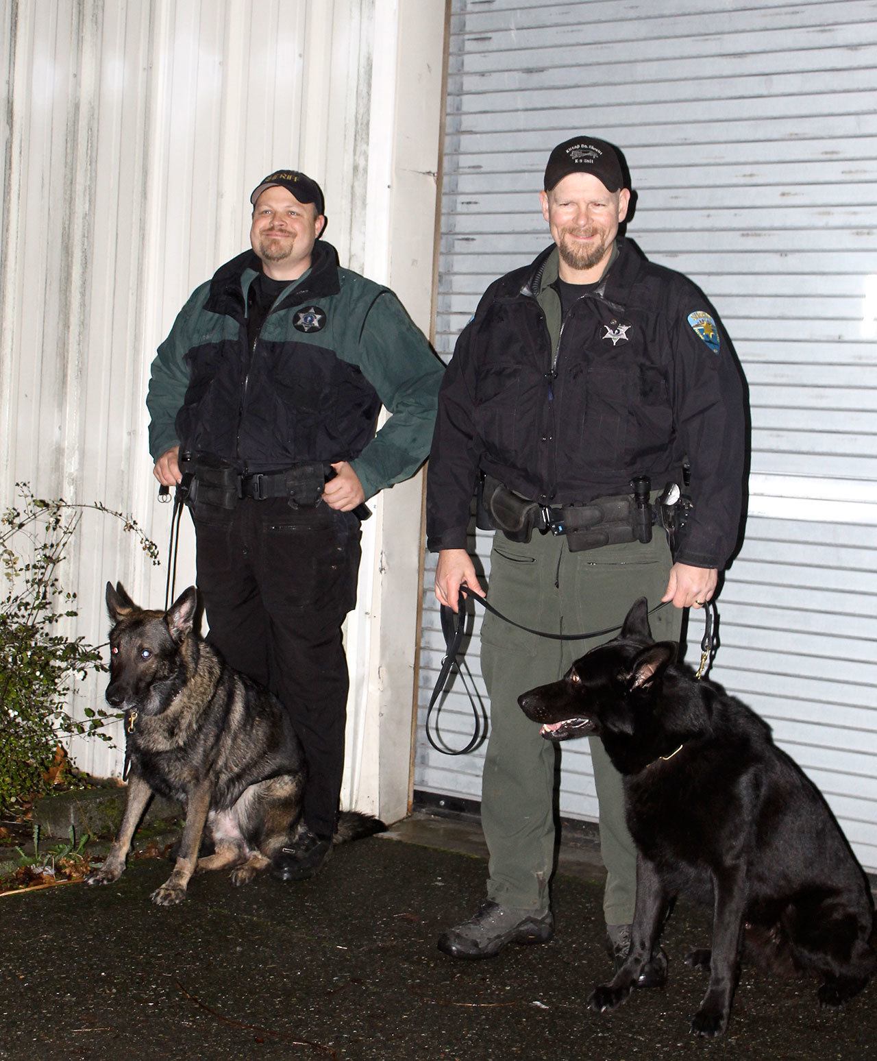 Grays Harbor Sheriff’s Deputy Tracy Gay, left, with his K-9 partner Max, and Kitsap County Sheriff’s Deputy Aaron Baker, right, with his K-9 partner Heiko, take a break from training on Nov. 15 at the Kitsap County Fairgrounds.                                Michelle Beahm / Kitsap News Group