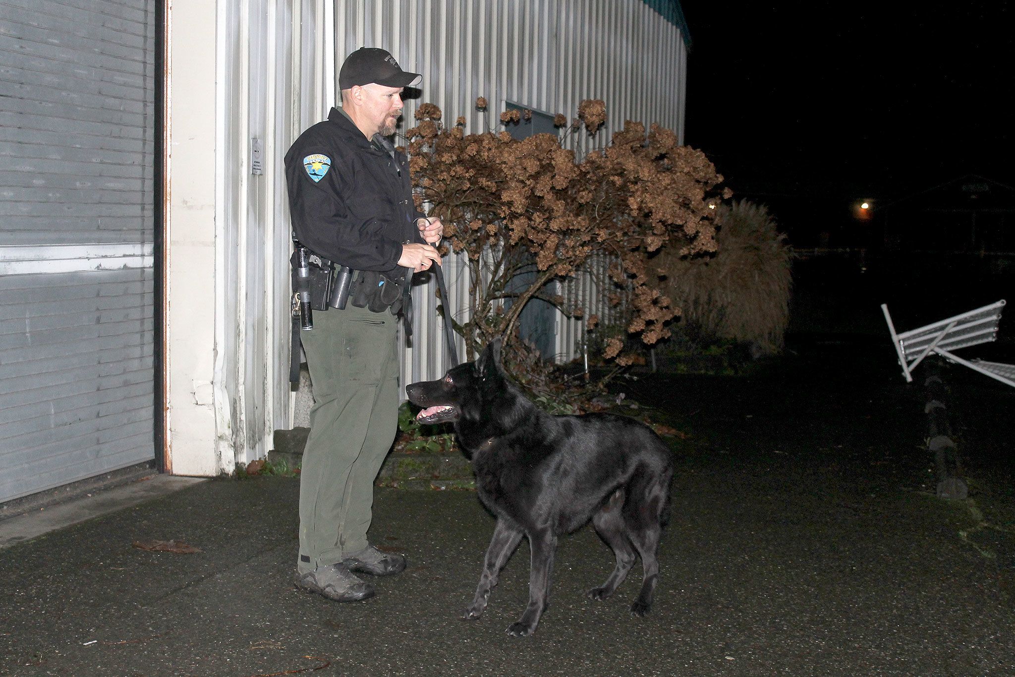 Kitsap County Sheriff’s Deputy Aaron Baker and his K-9 partner Heiko train in obedience, protection and scent work Nov. 15 at the Kitsap County Fairgrounds.                                Michelle Beahm / Kitsap News Group
