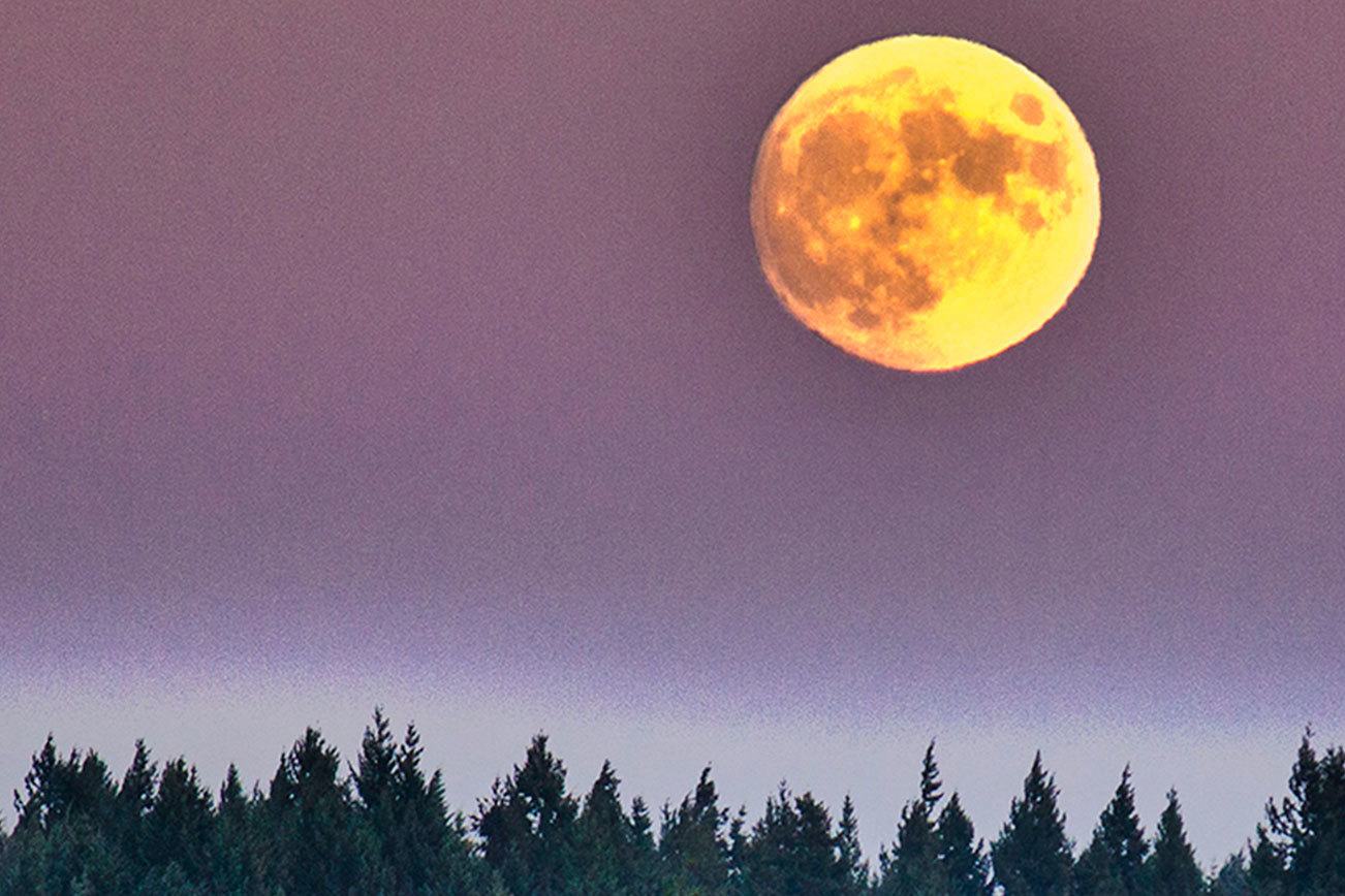 Sophie Bonomi won first place for this image, titled “Bright moon on a windy evening,” taken Nov. 24, 2015.