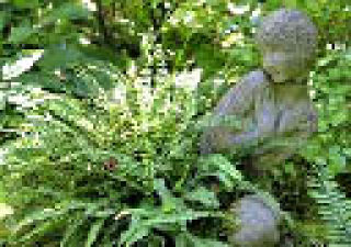 Local gardening pros join Indianola Garden Tour