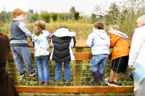 Over 50 students from neighboring Gordon Elementary and the Options Program witnesses the grand opening ceremony at the Carpenter Lake Trail and Boardwalk Wednesday