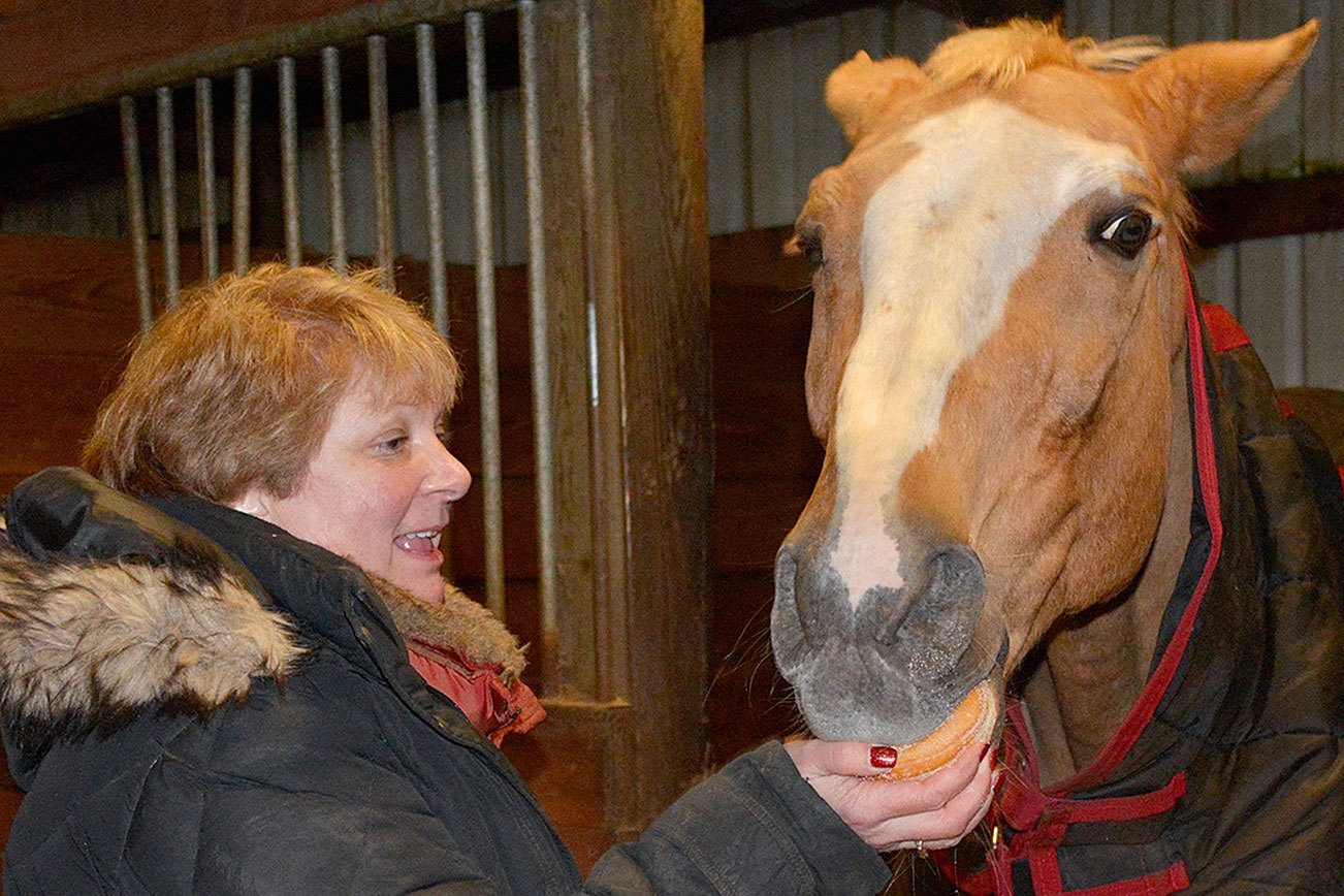 At Port Orchard’s Clover Valley Riding Center, this horse works for donuts
