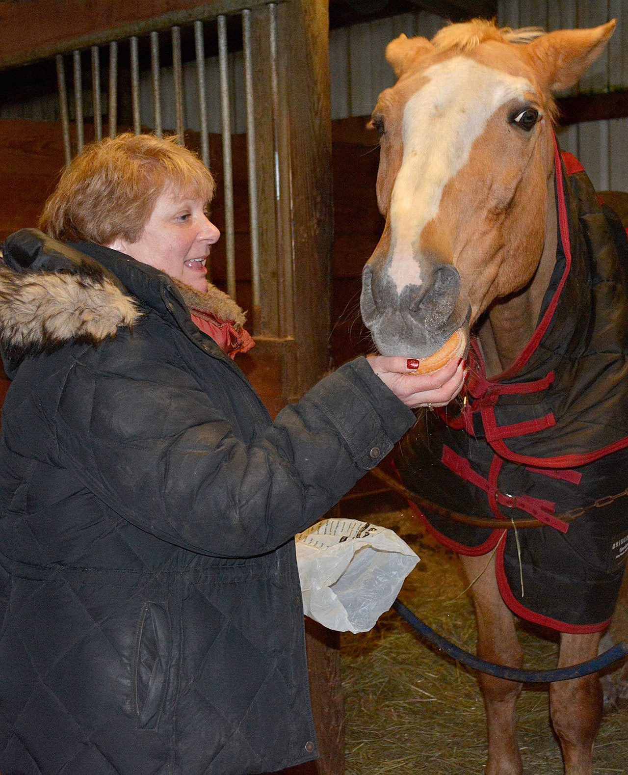 At Port Orchard’s Clover Valley Riding Center, this horse works for donuts