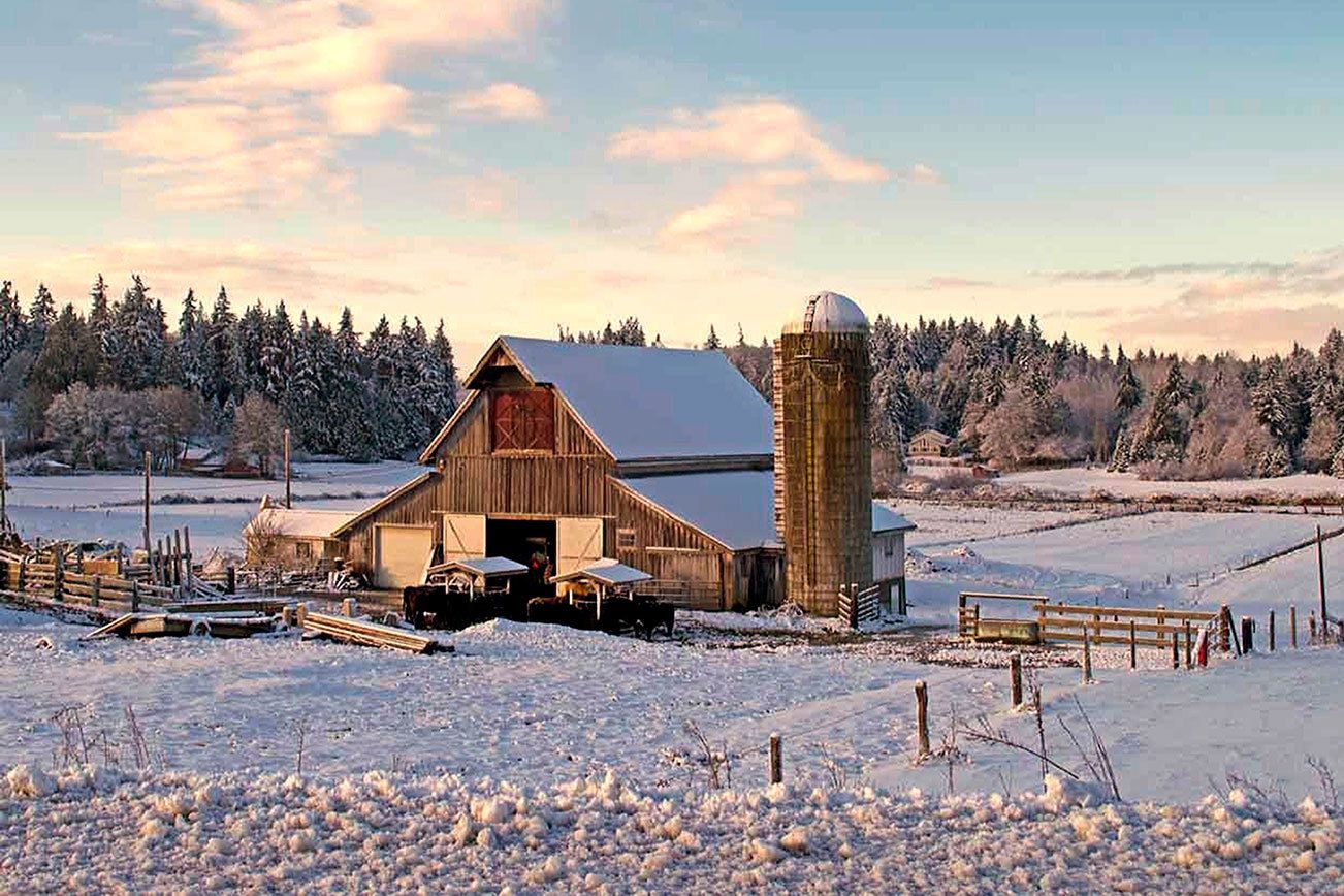 A brisk winter day at the Erickson farm on Hansville Road, November 2014. (Irvin Damm / Submitted)