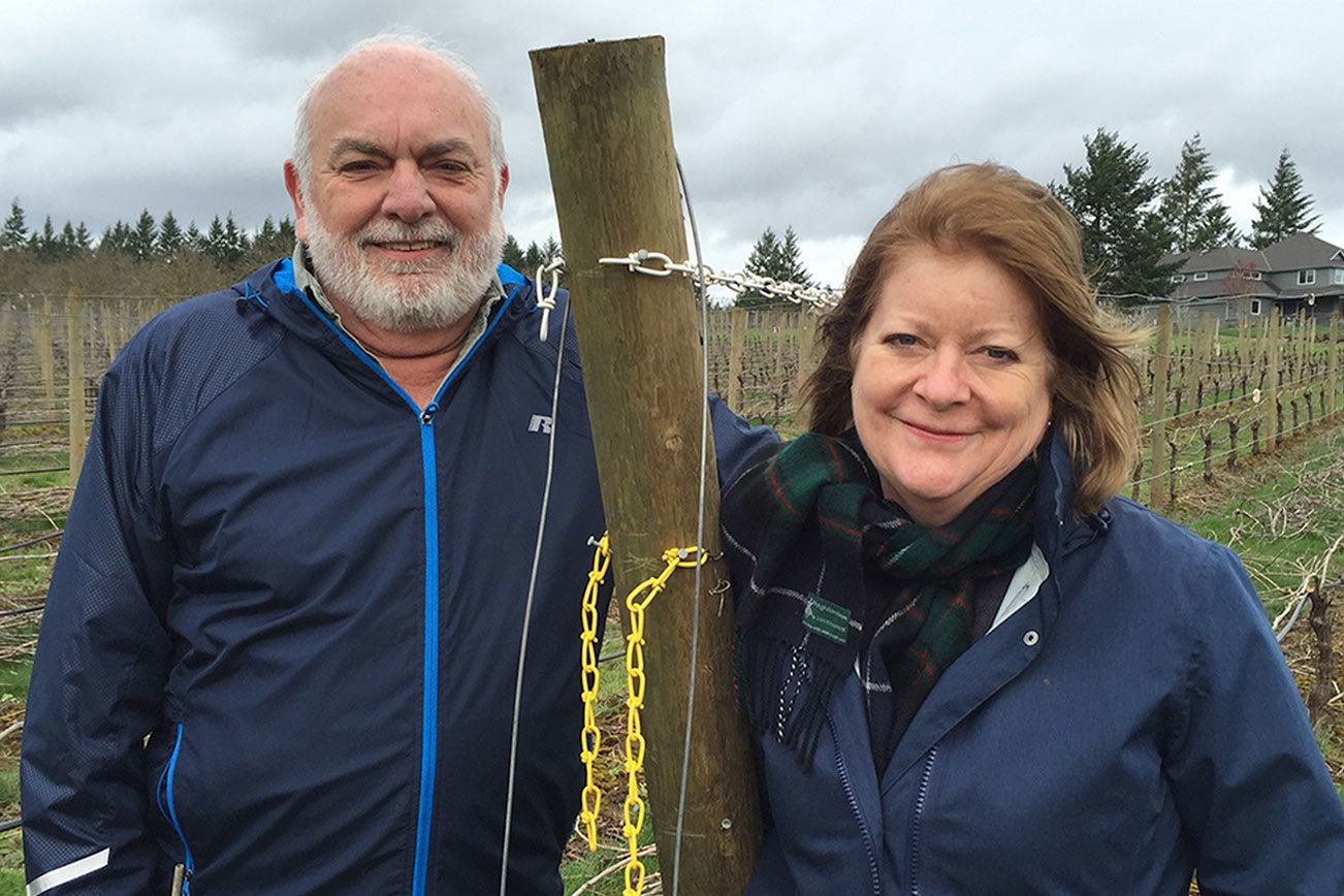 Riesling remains an overlooked gem in Oregon