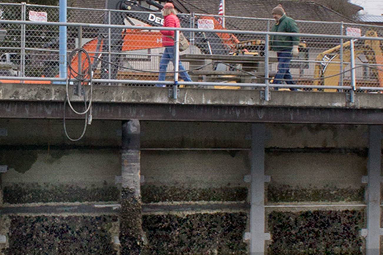 Little Anderson Parkway seawall undergoing repairs