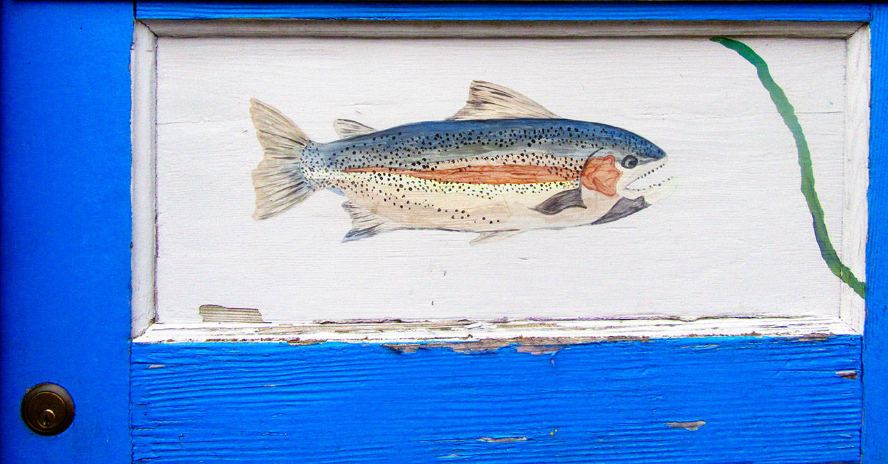 Hand-painted fish adorn another boathouse door.                                Terryl Asla/Kitsap News Group
