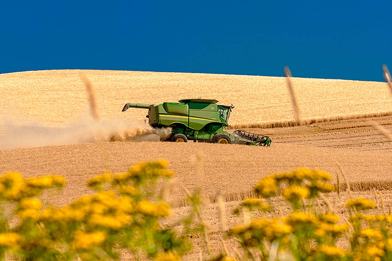 U.S. withdrawal from Trans-Pacific Partnership may cost state’s wheat farmers