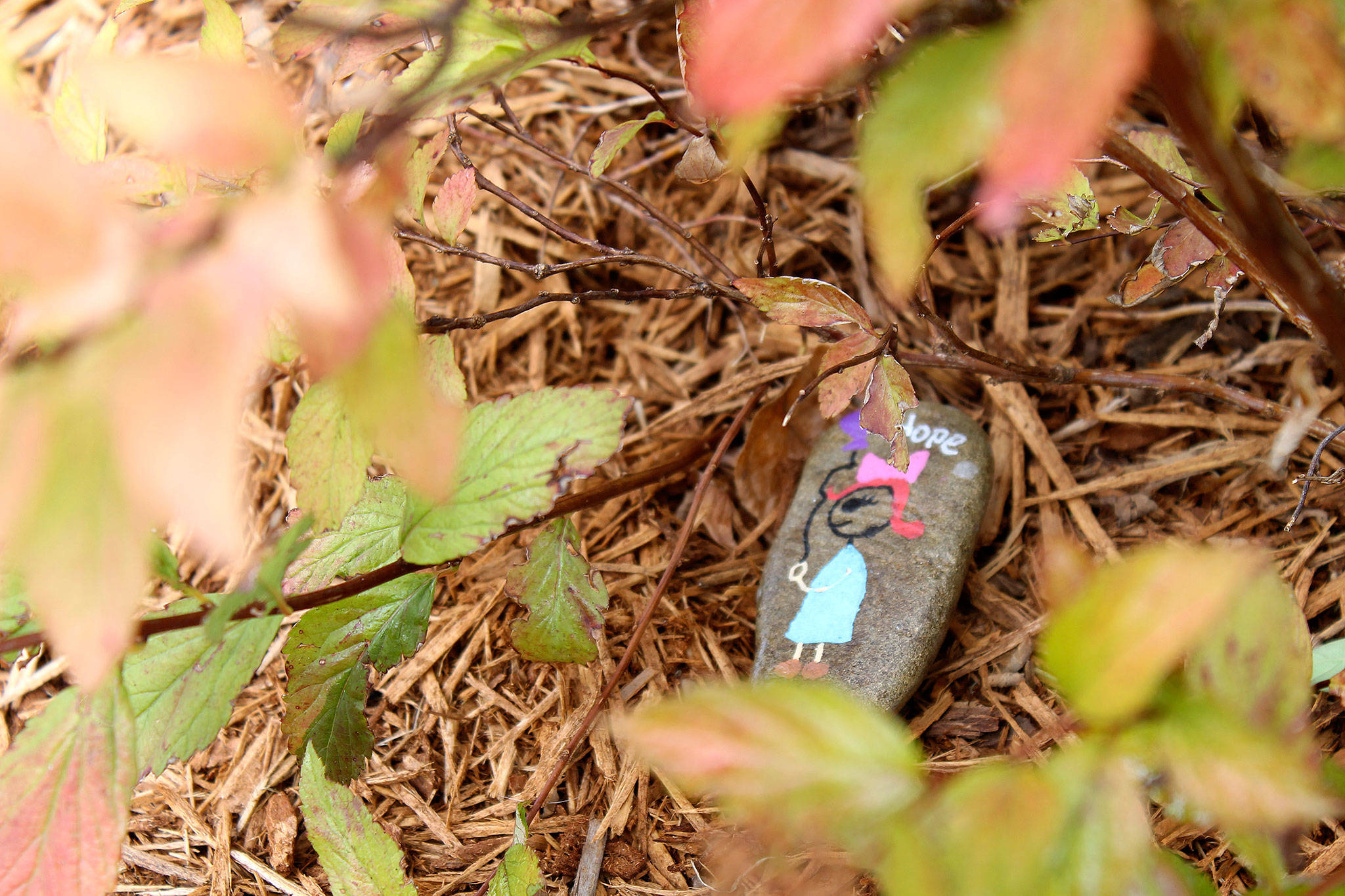 Rocks are placed in local parks for others to find.                                Michelle Beahm / Kitsap News Group file photo