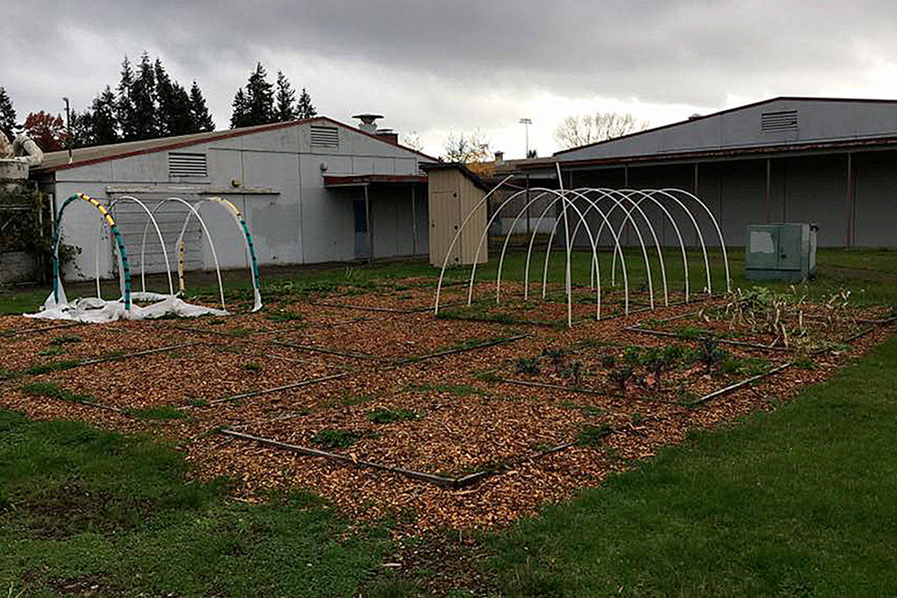 Volunteers wanted for community garden