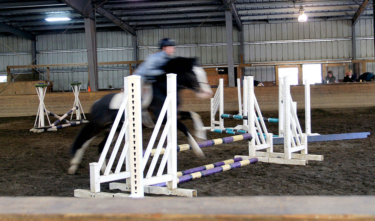 The Sandamar Farm Winter Series Show featured numerous events, from jumping to halter-class competitions. (Terryl Asla / Kitsap News Group)