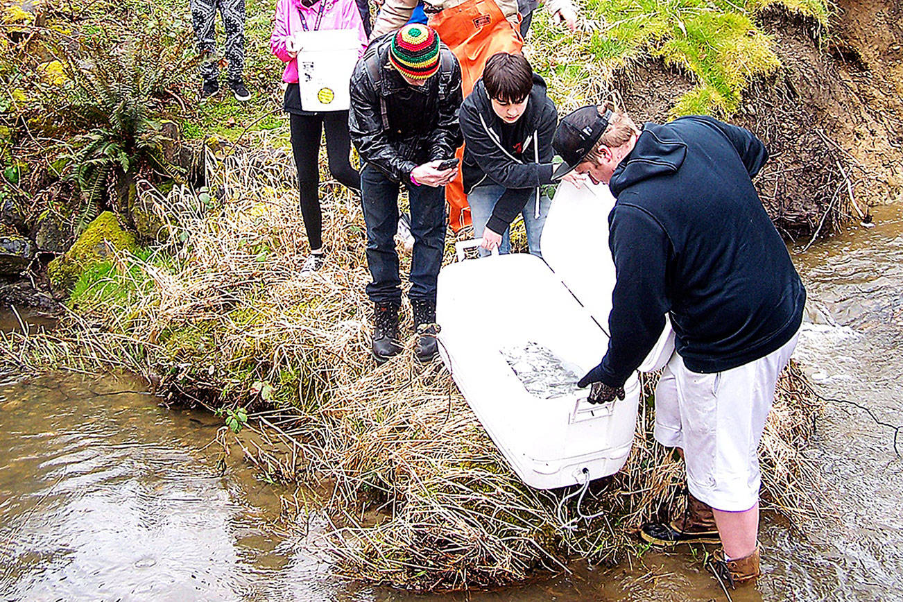 Discovery Alternative students release salmon into Beaver Creek