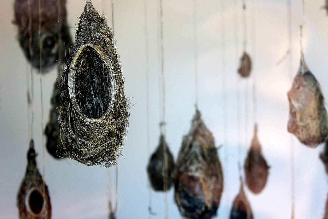 A birds-nest sculpture display on Fourth Street, between Park Avenue and Pacific Avenue, by Carla Grahn.                                Michelle Beahm / Kitsap News Group