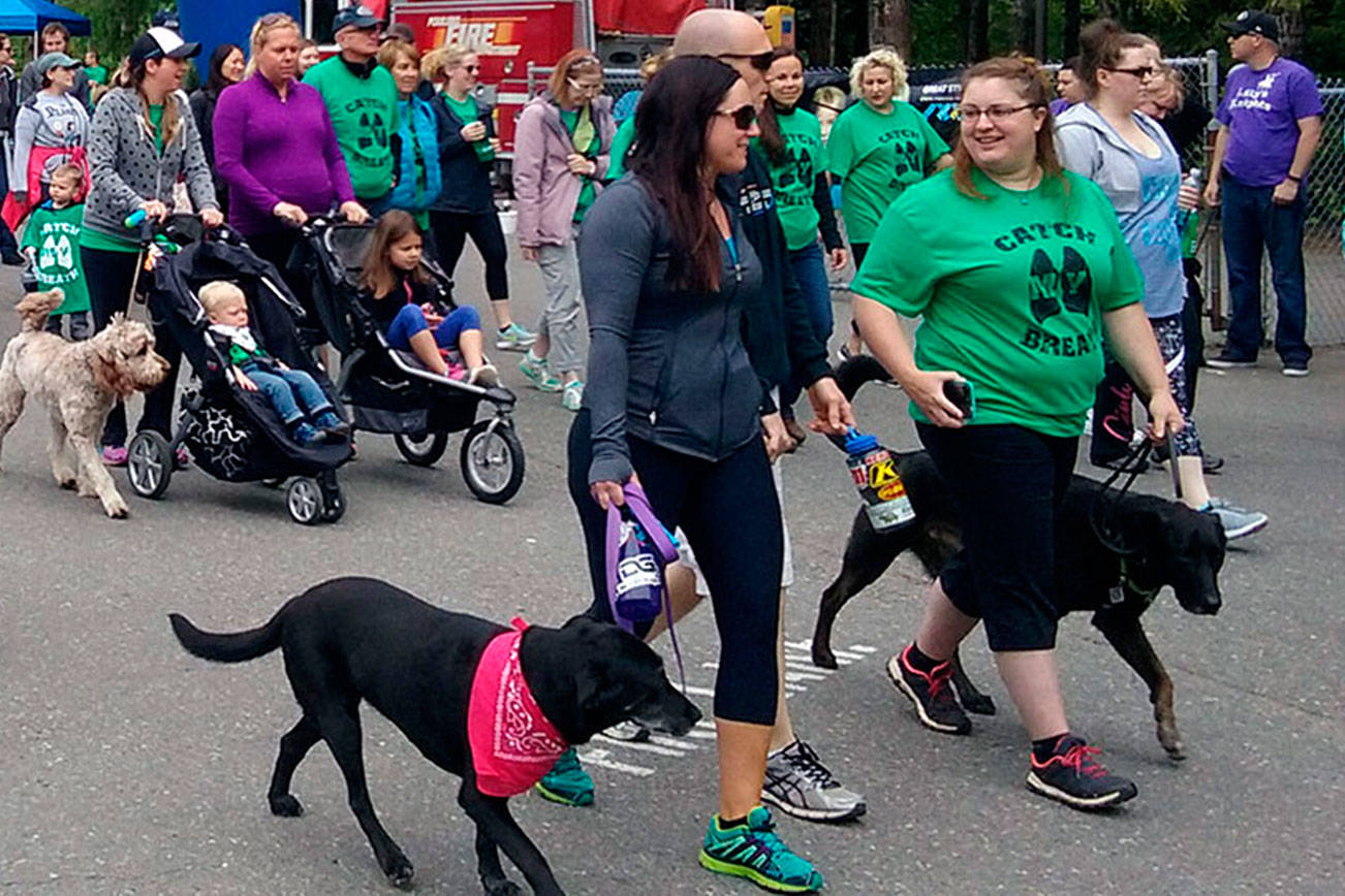 The Poulsbo CF Walk raised $26,600 on June 3. Hundreds of volunteers participated. CF patients and their families, friends, and others who care walked proudly down the streets of cloudy Poulsbo, walking to find the light at the end. (Ian Snively/Kitsap News Group)