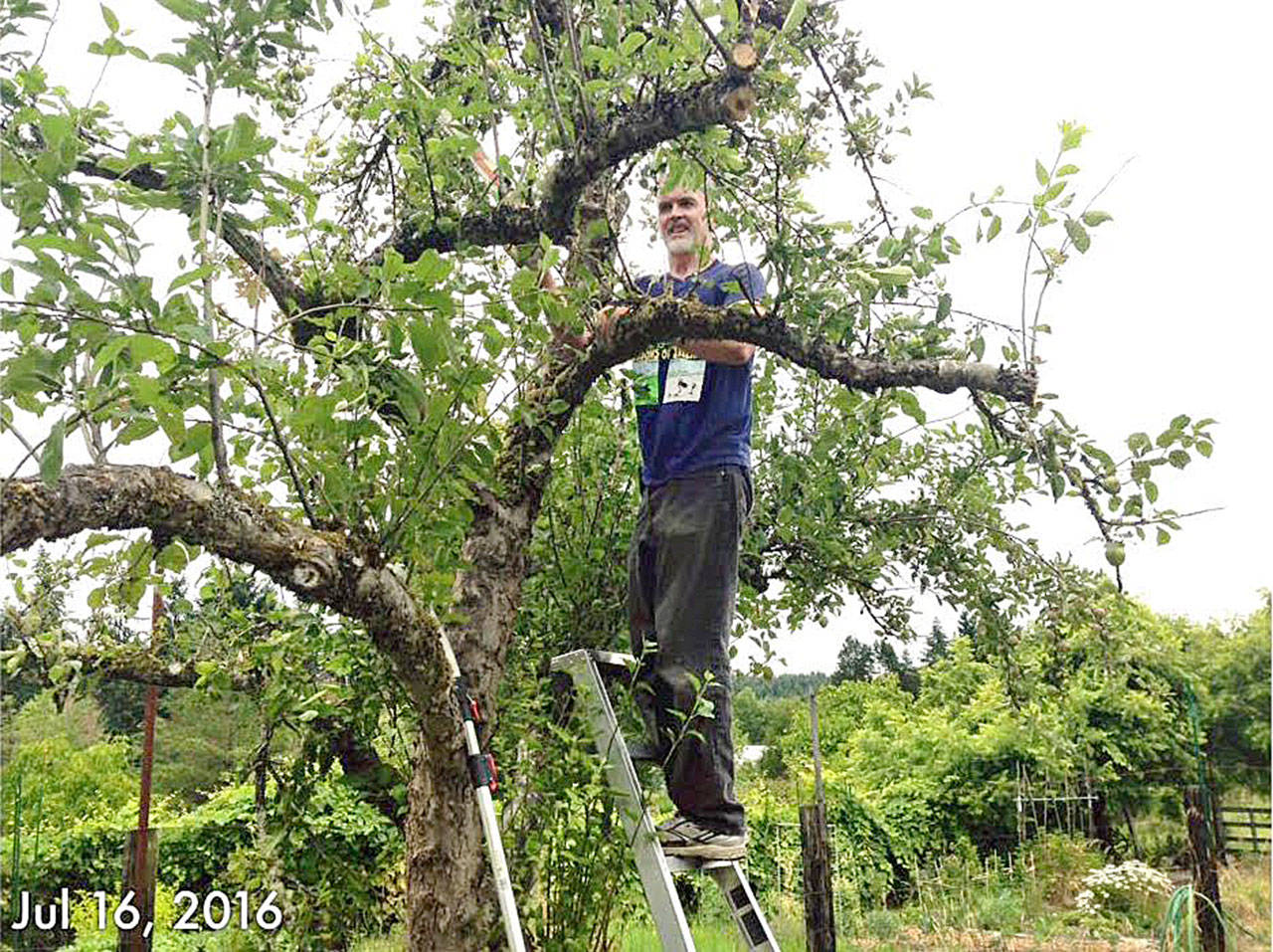 Berry nice: Nature has lots in store outside your door | Kitsap Weekly