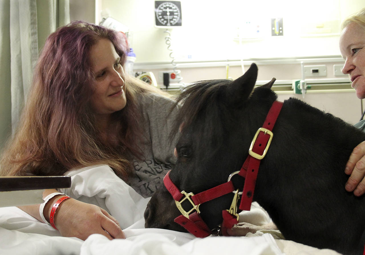 Diesel and Watland visit with Amy Brumbaugh, 42, of Port Orchard. “He’d get up on the bed with you if you’d let him,” Watland said.                                Terryl Asla/Kitsap News Group