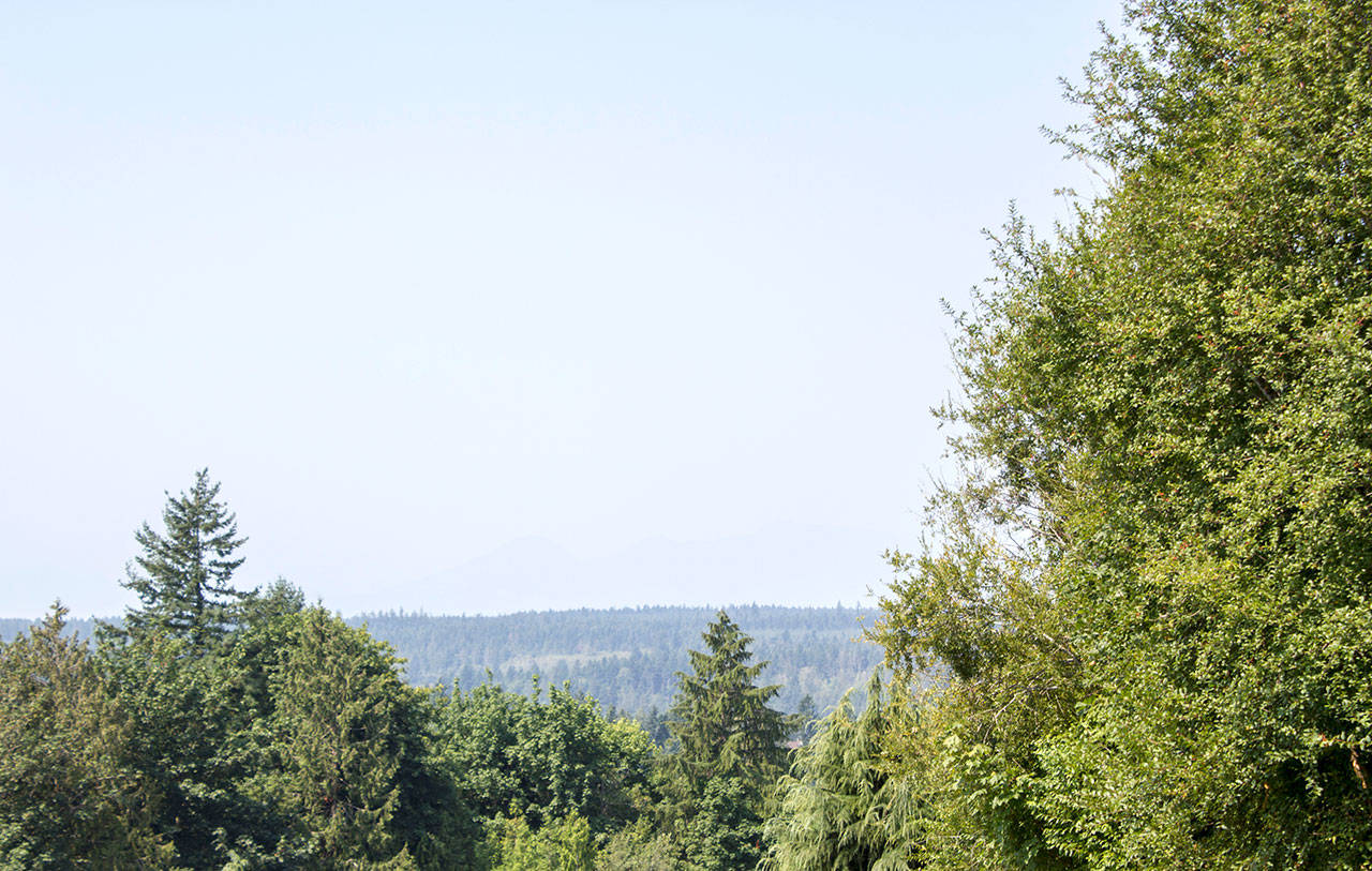 Typically, we’d see the mountains peeking through the trees on a clear sunny day, but because of the smoke from wildfires in British Columbia, all is hidden Aug. 4. (Sophie Bonomi/Kitsap News Group)