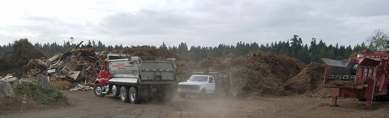 Williams opened the gate for business at 8 a.m. and by 8:20 there already were trucks and trailers lined up, waiting to dump their loads of brush, blackberry vines and land-clearing debris. Terryl Asla/Kitsap News Group
