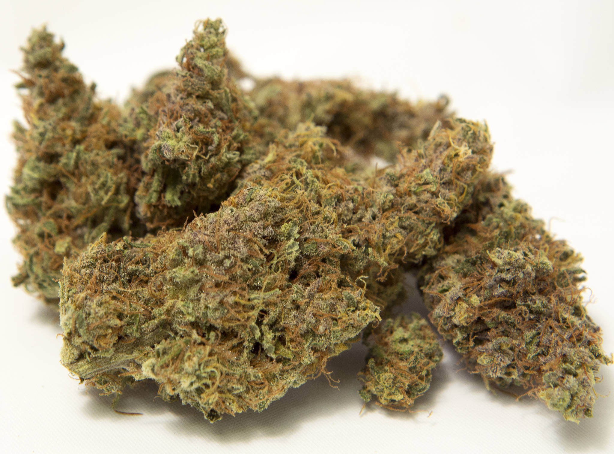 Dutch 47 from Trail Blazin was named the best sativa in a recent BudTender Cup.