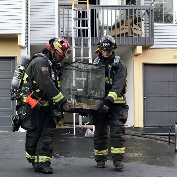 Firefighters remove a snake tank from an apartment at Wellington Apartments. (Ileana LiMarzi/Central Kitsap Fire & Rescue)