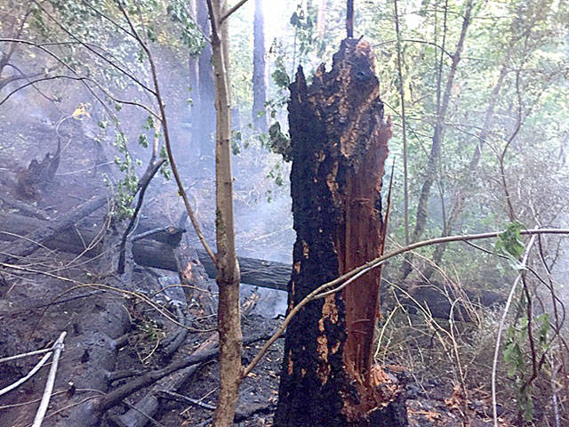 The fire at Illahee Preserve in Bremerton grew to about an acre in size before the Central Kitasp Fire & Rescue and Bremerton Fire Department crews were able to contain and control it.                                Central Kitsap Fire & Rescue/Courtesy