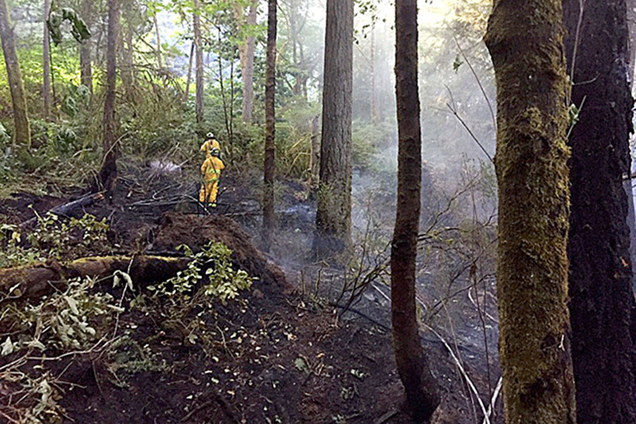 The fire at Illahee Preserve in Bremerton grew to about an acre in size before the Central Kitasp Fire & Rescue and Bremerton Fire Department crews were able to contain and control it.                                Central Kitsap Fire & Rescue/Courtesy