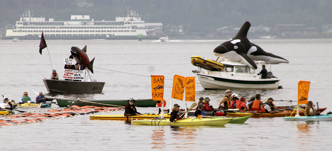 A salmon boat tows the orca boat past the kayakers clustered around the anchored canoe holding the floating banner.                                Terryl Asla/Kitsap News Group