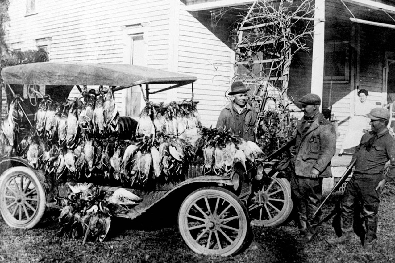 History of the Audubon Christmas Bird Count  Kitsap Birding  Kitsap Daily News