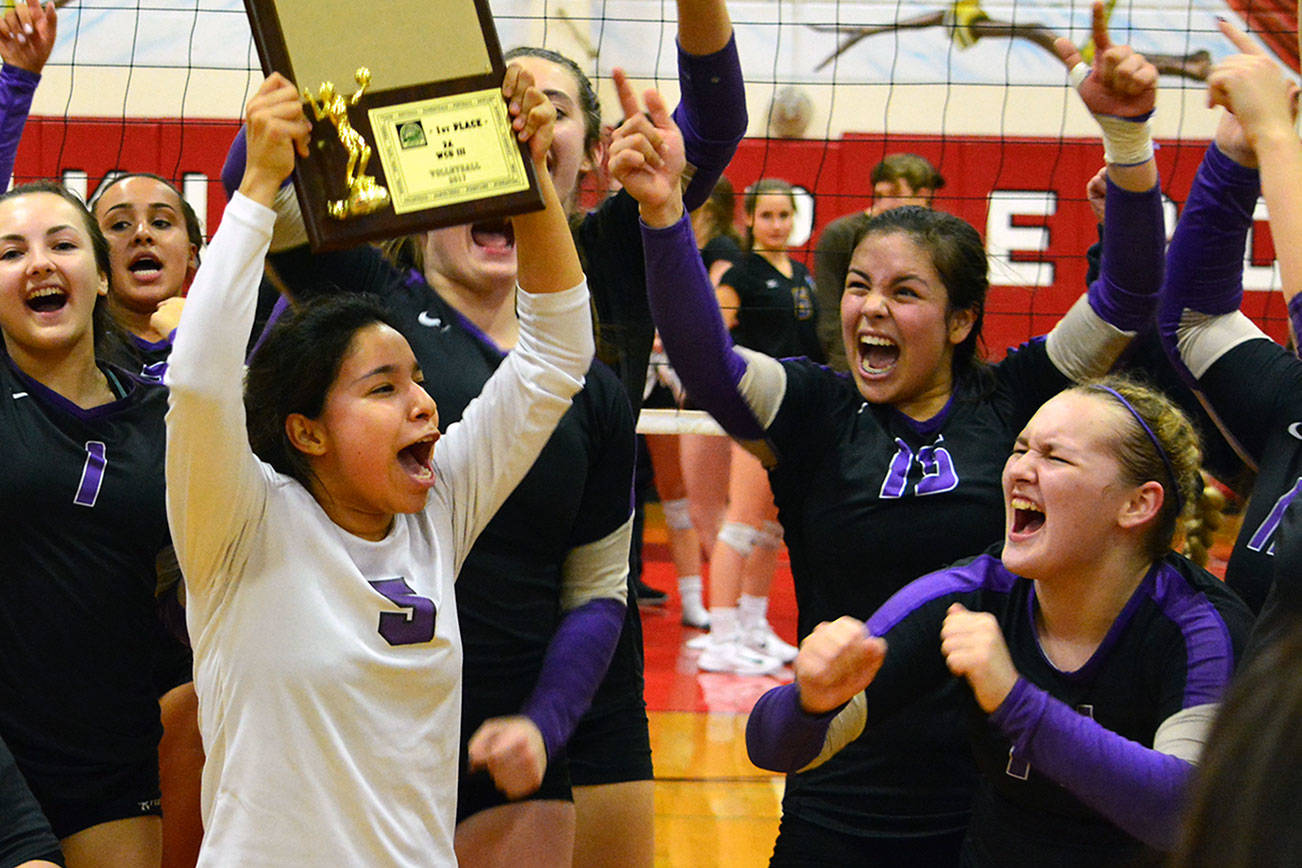 The Vikings celebrate their district volleyball tournament win, their first since 2014 (Mark Krulish/Kitsap News Group)