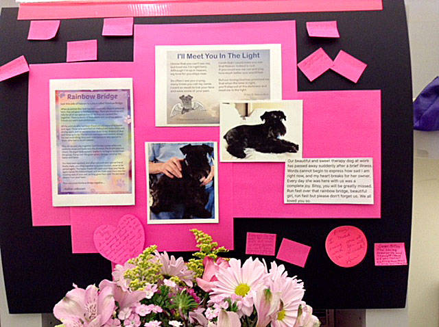 When Bitsy passed away in February, the residents created a memorial for her.                                Courtesy photo