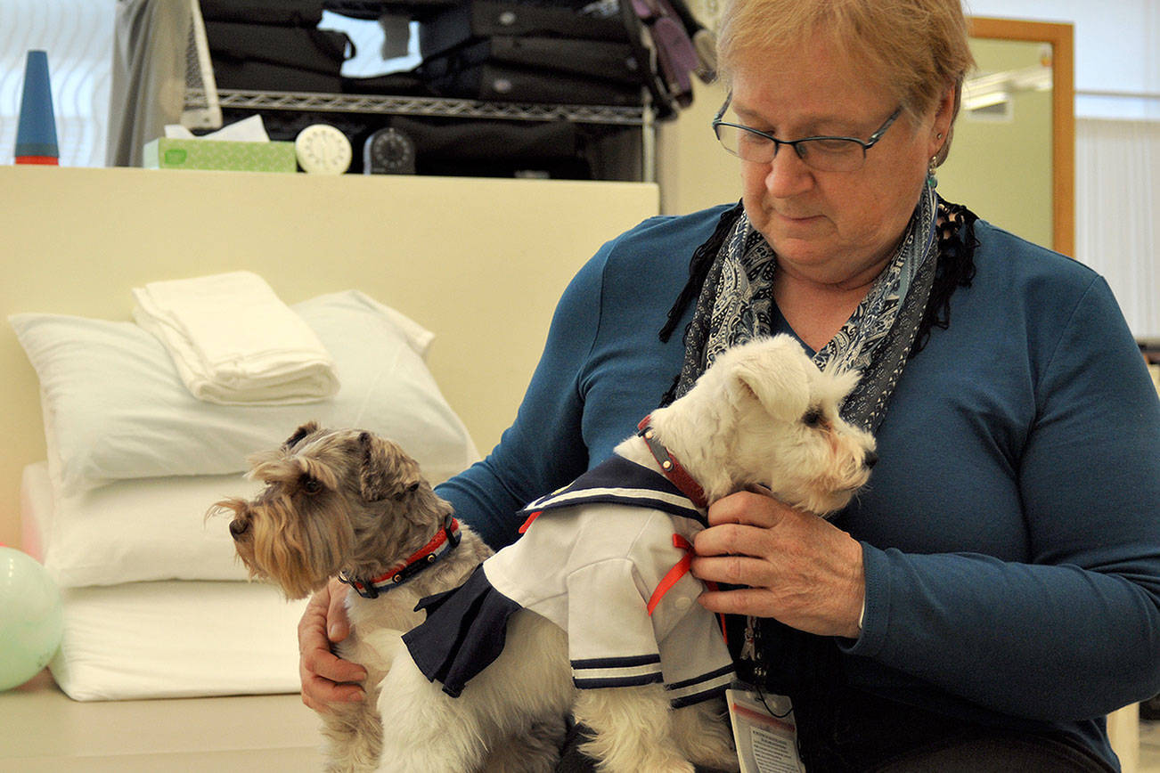 Donna Gaskill with her dogs, Sailor and Oliver, at the Washington Veterans Home in Retsil. The residents held a contest and voted on Sailor’s name. Both dogs help residents and staff alike destress.                                Michelle Beahm / Kitsap News Group