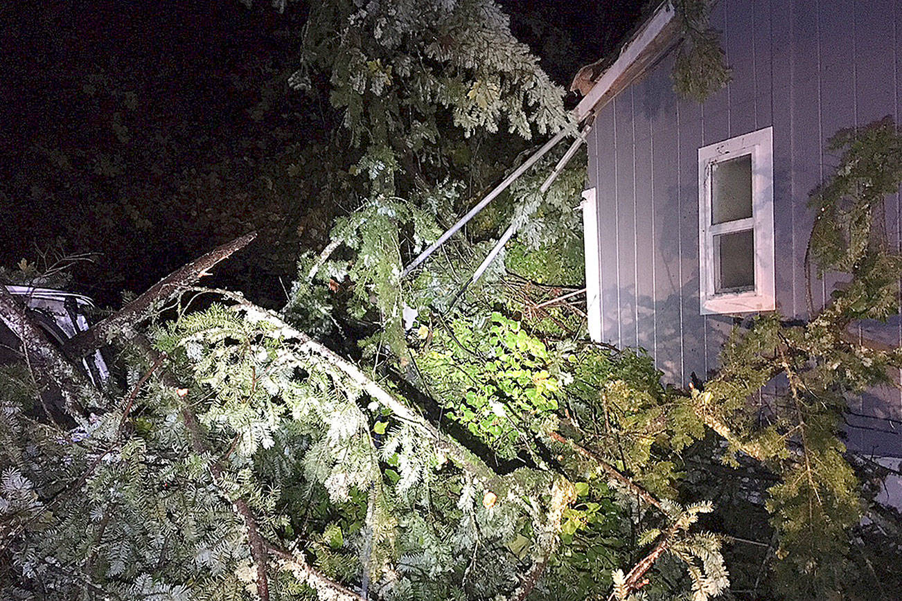 Teen girl ‘very seriously’ injured by fallen tree