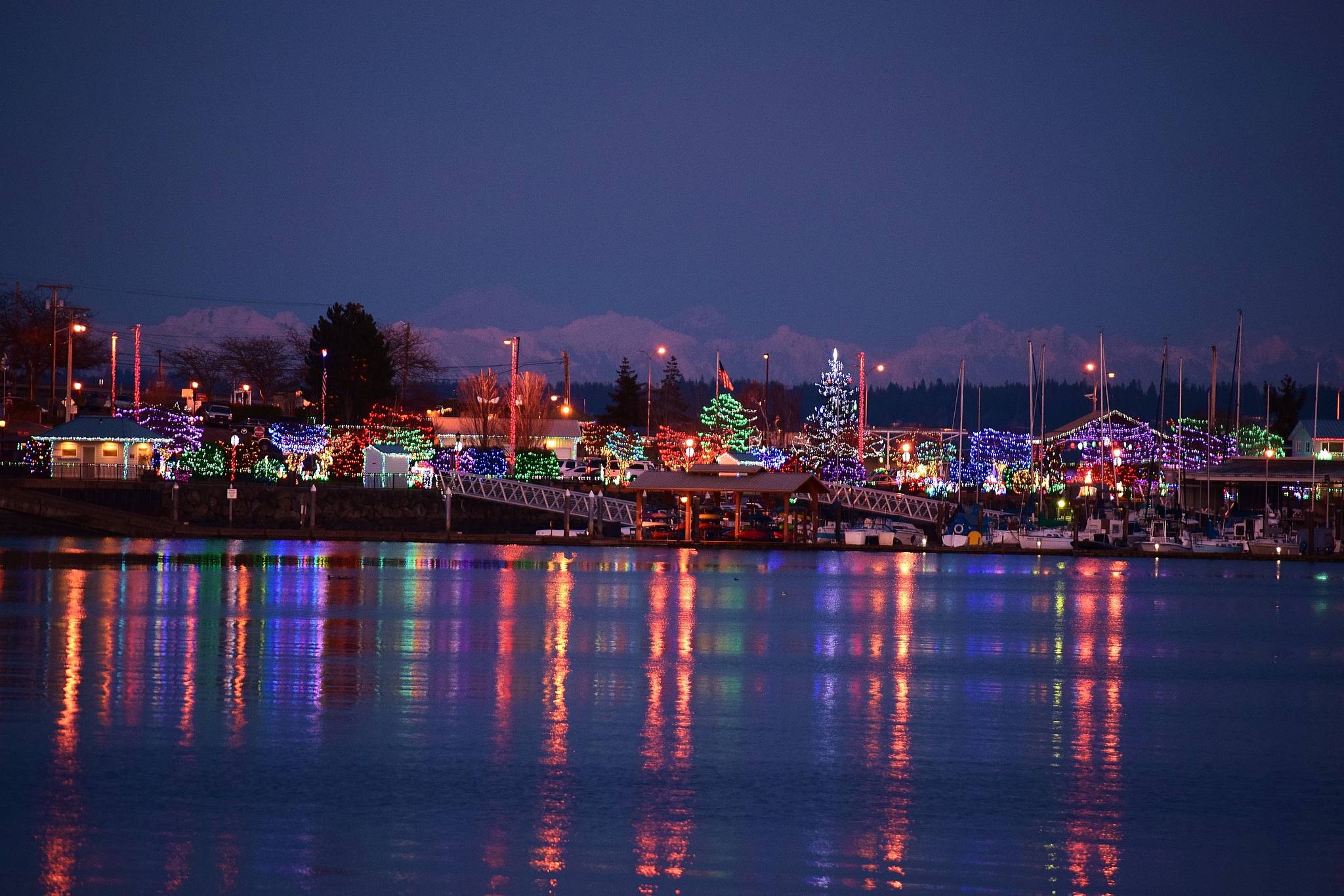 Kingston Cove lights