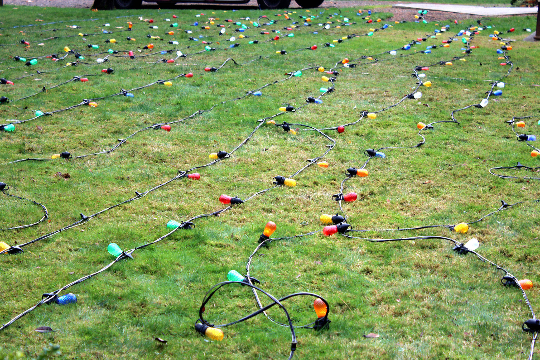 600 lights are prepared to be strung on the Tracyton Community Tree Nov. 27.                                Michelle Beahm / Kitsap News Group
